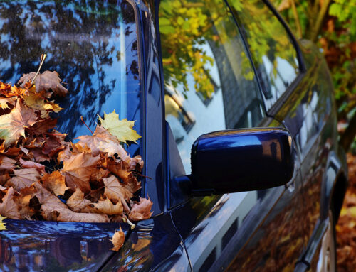 Help je auto de herfst door
